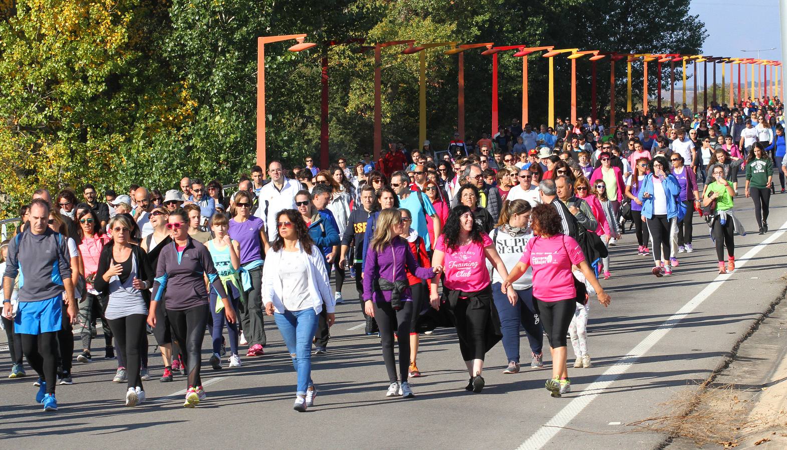iel a su cita con la solidaridad, la tradicional marcha ASPACE ha echado a andar este domingo, 29 de octubre, desde el polideportivo municipal de Las Gaunas con la participación de alrededor de 3.000 personas que han querido apoyar esta iniciativa que pretende concienciar a la sociedad riojana sobre la realidad de las personas con parálisis cerebral.