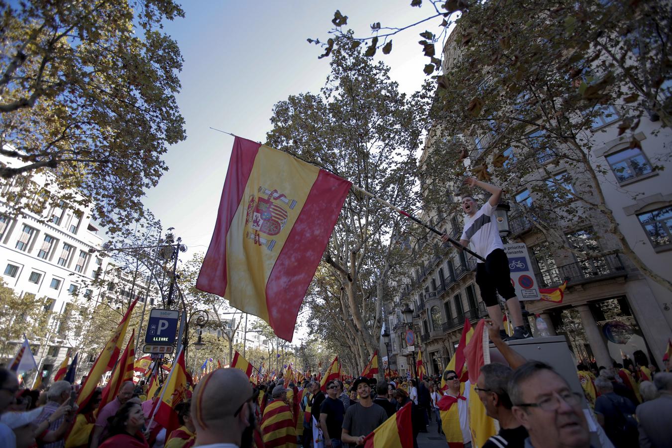 La marcha convocada por Societat Civil Catalana bajo el lema 'Tots som Catalunya. Per la convivència, seny!