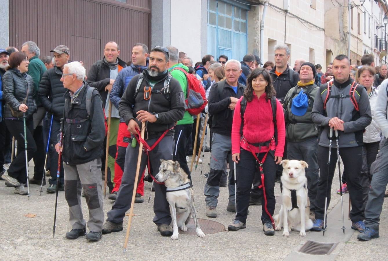 Bonito día el que amaneció este domingo para la VII Marcha por el entorno natural de Santurdejo