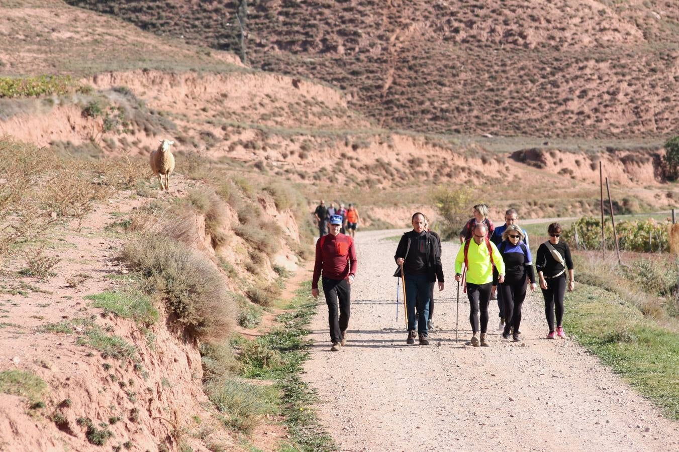 Unas 350 personas participan en la tercera Marcha del Camino del Rey