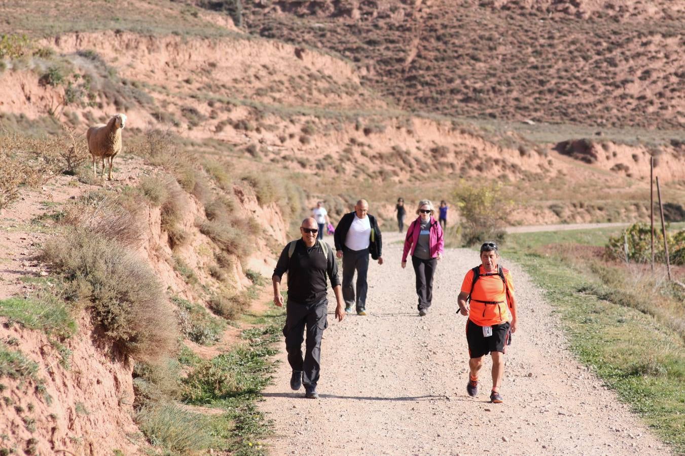 Unas 350 personas participan en la tercera Marcha del Camino del Rey