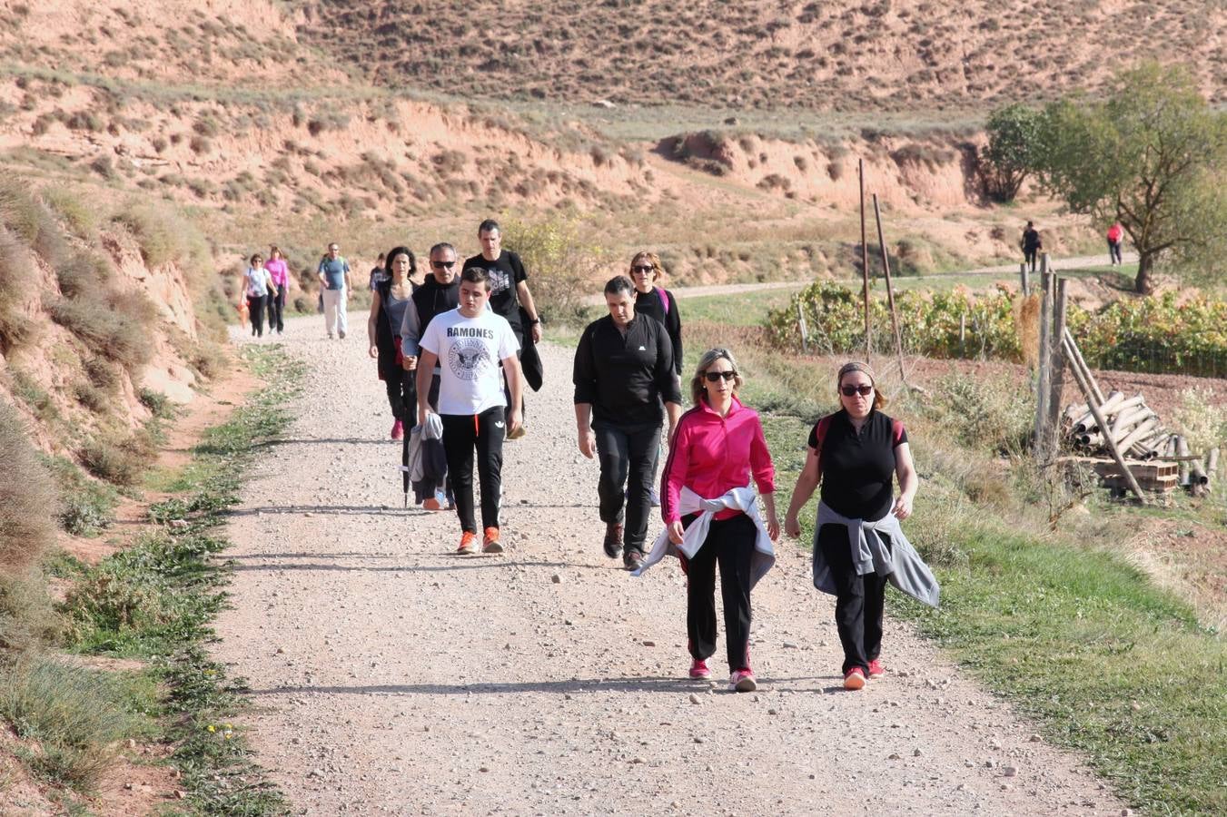 Unas 350 personas participan en la tercera Marcha del Camino del Rey