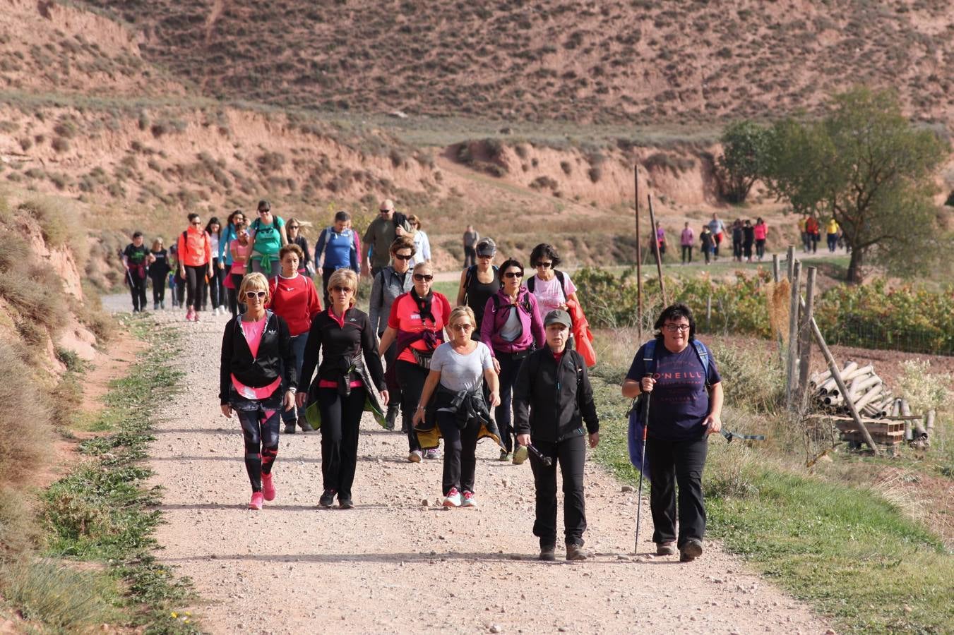 Unas 350 personas participan en la tercera Marcha del Camino del Rey