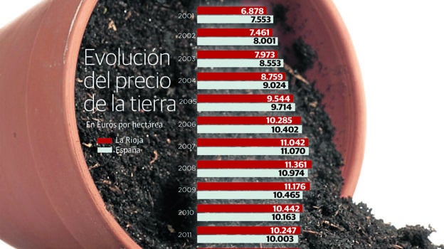 El proceso de nuevas plantaciones de vid lleva a máximos el precio medio de la tierra