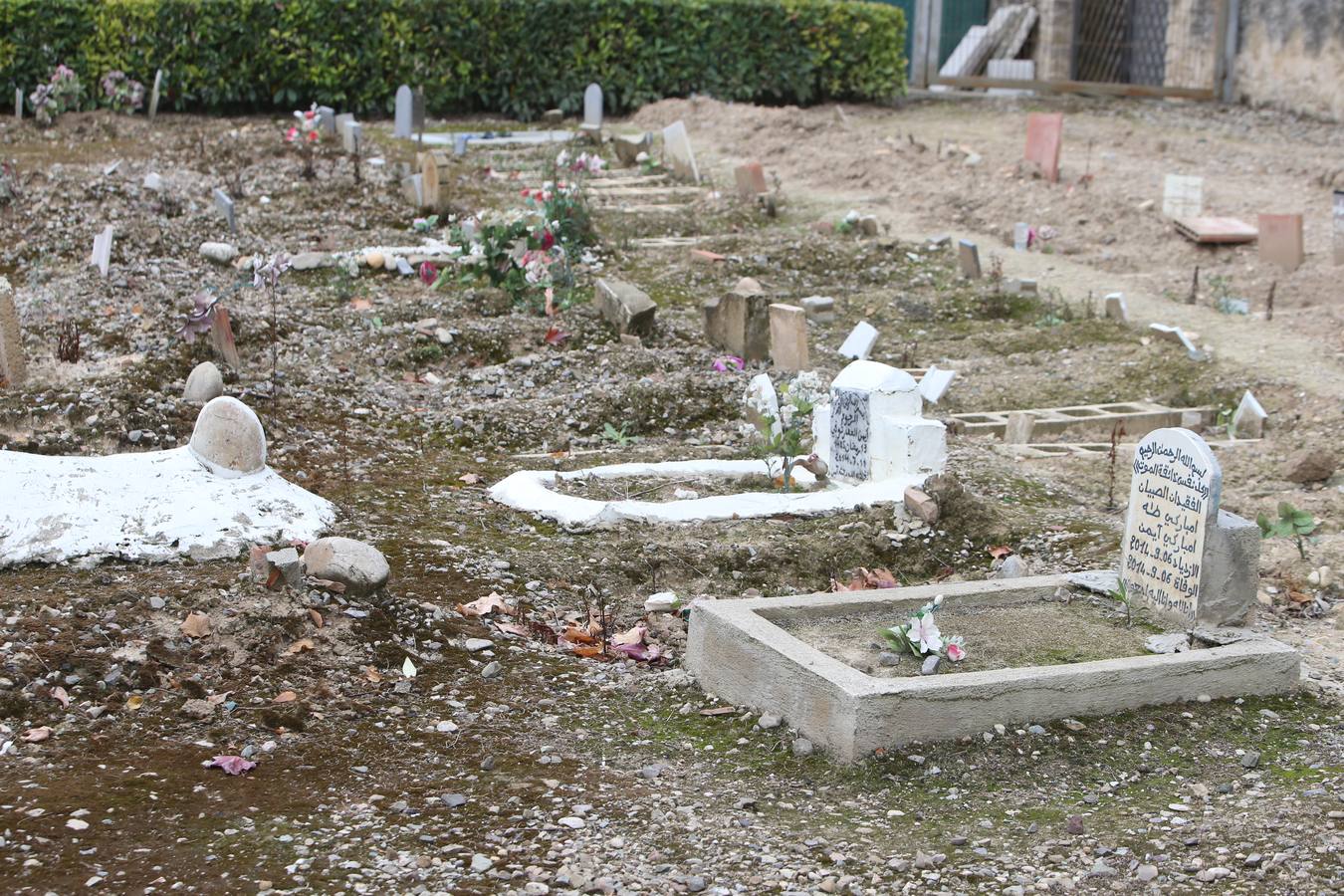 El cementerio de Logroño vivió una poco habitual abundante asistencia en el día de todos los santos 