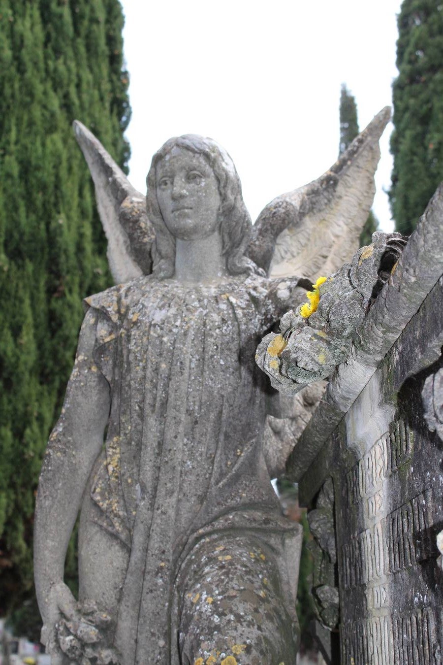 Visita al cementerio de Calahorra