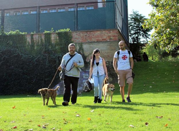 Fernando Ruiz pasea por el parque de la Concordia con su perro, Tato, junto a Estíbaliz Sánchez y Jorge Luis Rodríguez, estos con su mascota Sparky. :: D.M.A.