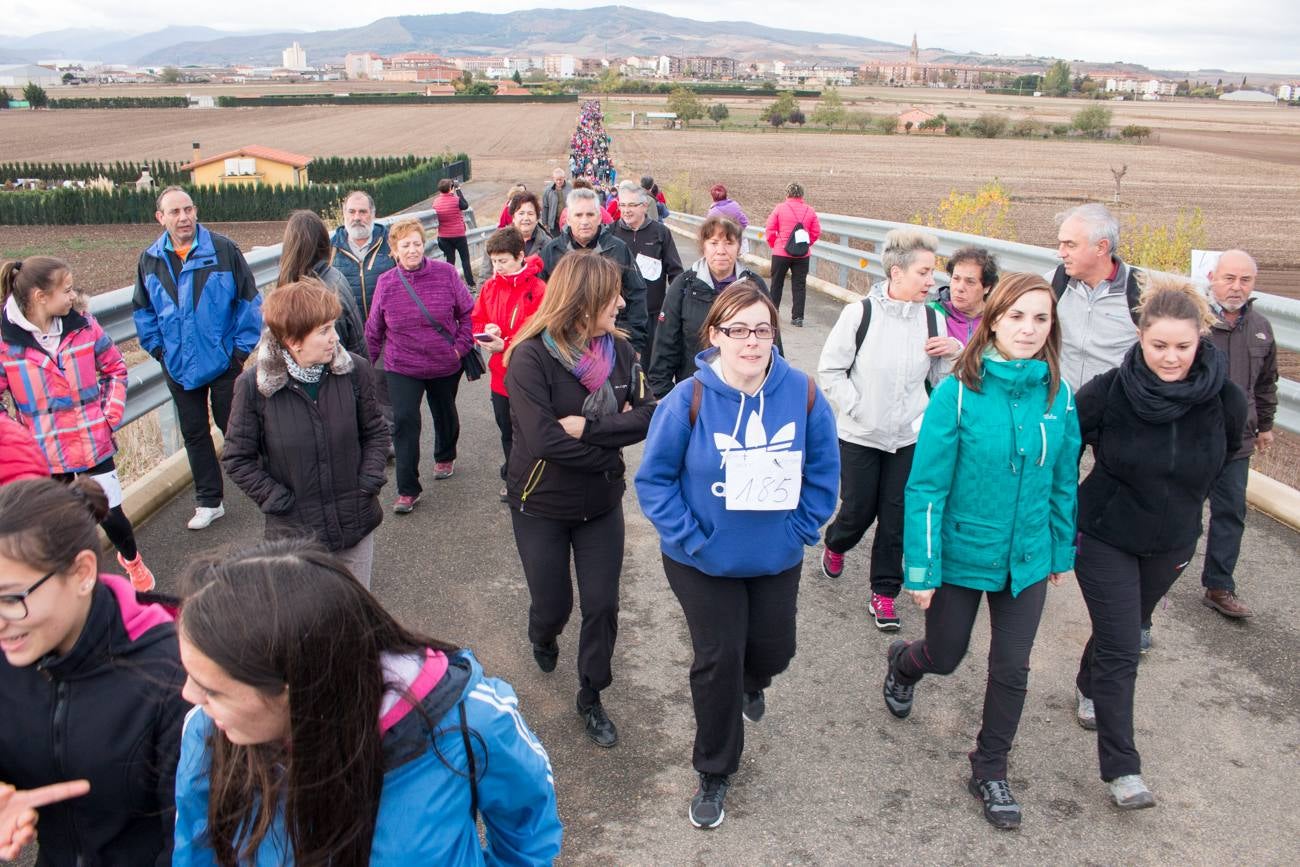 El acto ha sido a beneficio de la Asociación Española Contra el Cáncer en La Rioja