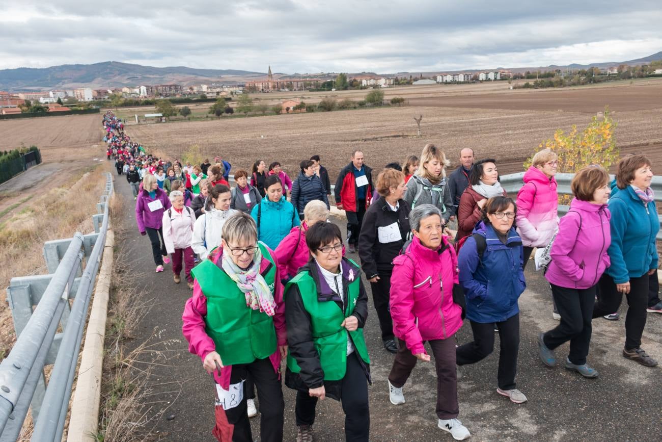 El acto ha sido a beneficio de la Asociación Española Contra el Cáncer en La Rioja