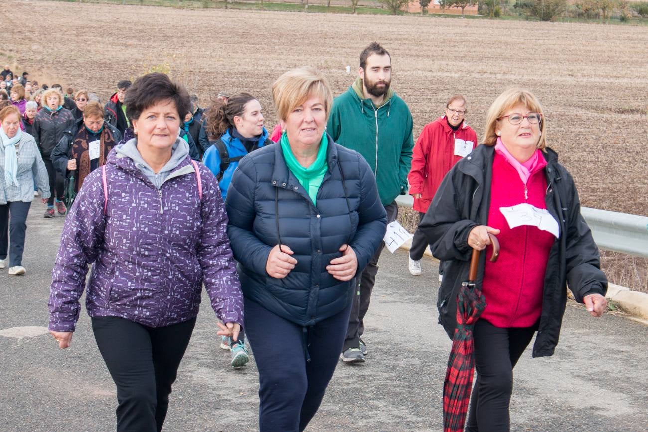 El acto ha sido a beneficio de la Asociación Española Contra el Cáncer en La Rioja