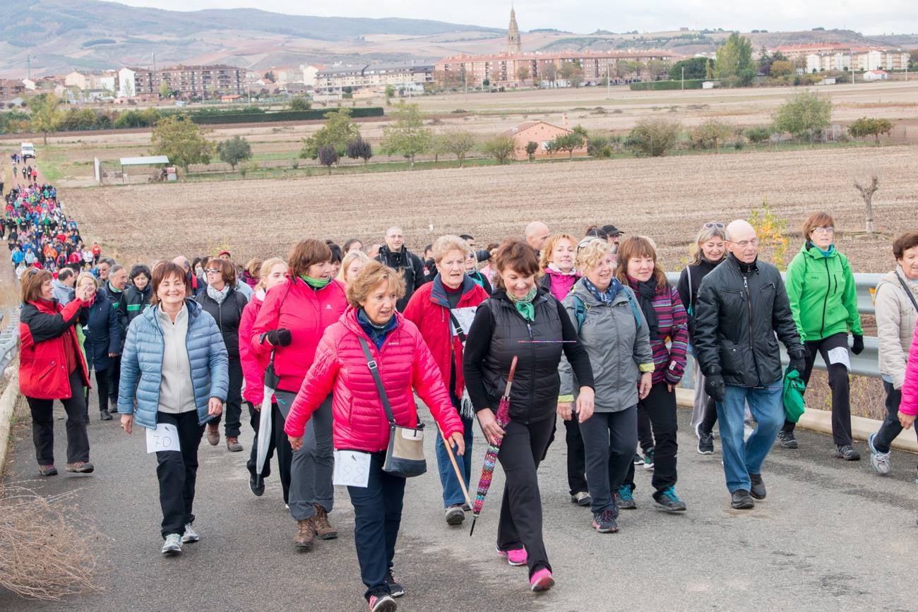 El acto ha sido a beneficio de la Asociación Española Contra el Cáncer en La Rioja