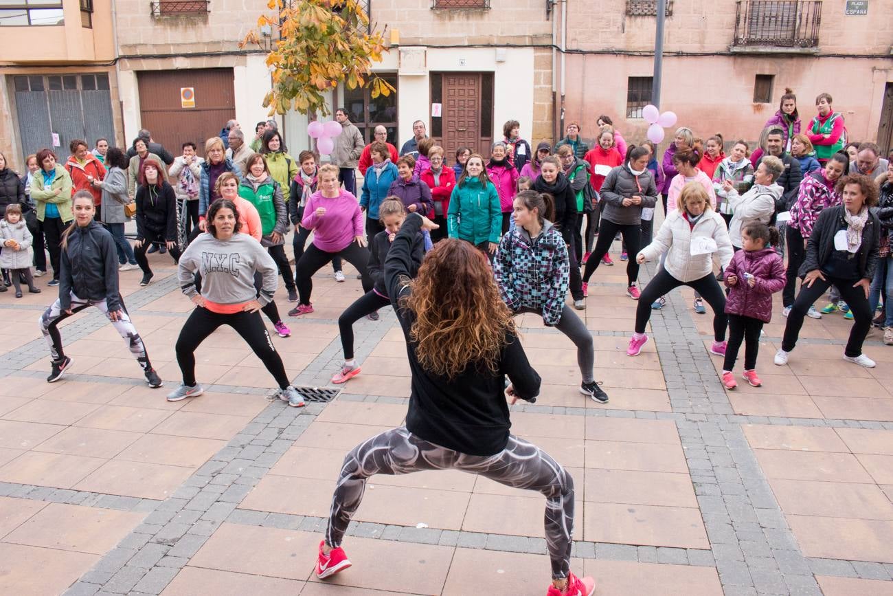 El acto ha sido a beneficio de la Asociación Española Contra el Cáncer en La Rioja