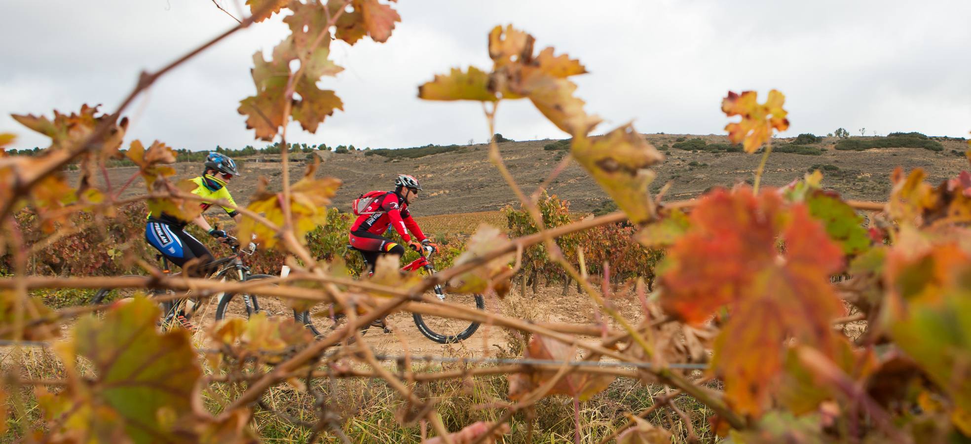 Cerca de 300 ciclistas participaron en la prueba