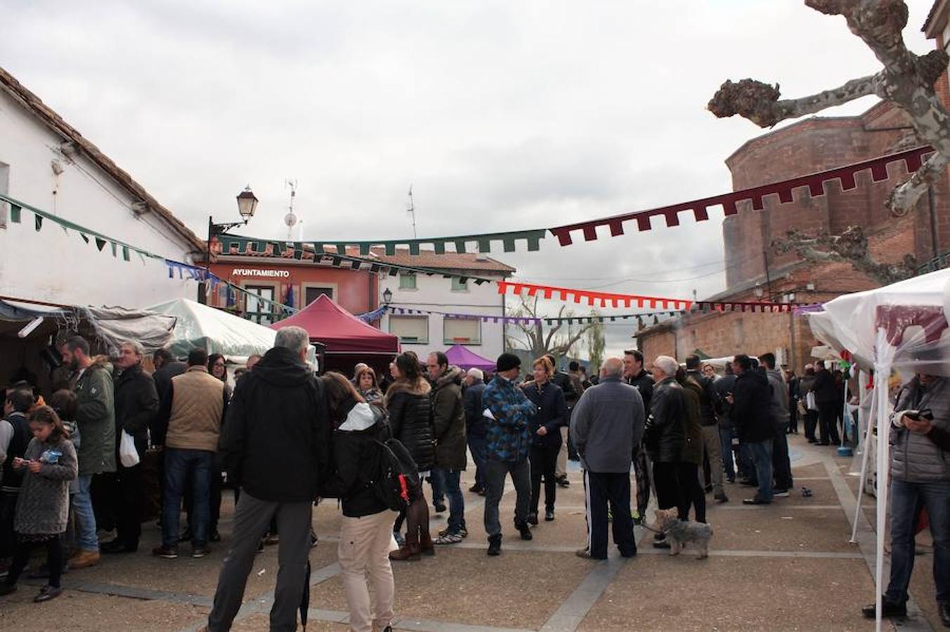 Mucho público en Alesón con motivo de la celebración del mercado medieval y el festival de la castaña asada.