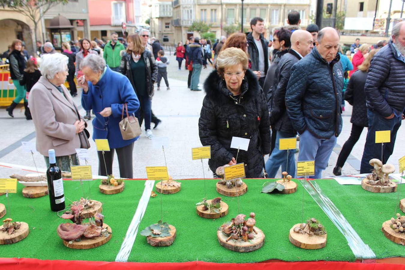 Haro disfurta de la bondad de sus campos y la generosidad de sus arboledas en las jornadas micológicas. La salida, la recolección y la posterior exhibición se unen a una interesante oferta gastronómica en la localidad jarrera donde setas y hongos son protagonistas absolutos