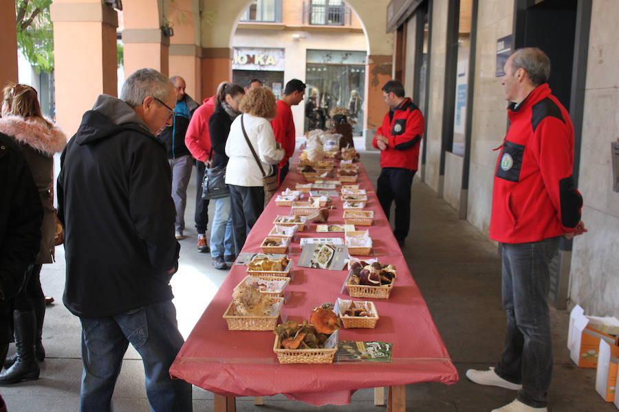 Alfaro revivió un año más las jornadas micológicas y nuevamente los soportales volvieron a llenarse de variedades espectaculares de setas y hongos procedentes de la flora local