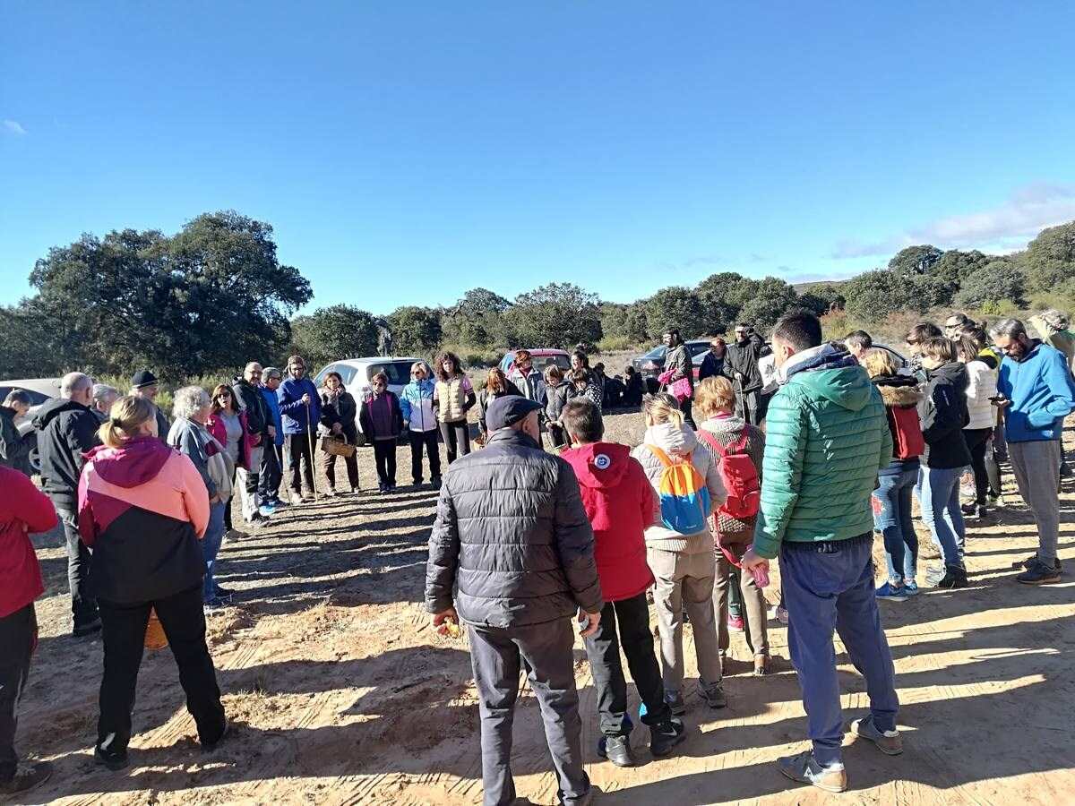 La localidad lleva 24 años celebrando una jornada dedicada a las setas