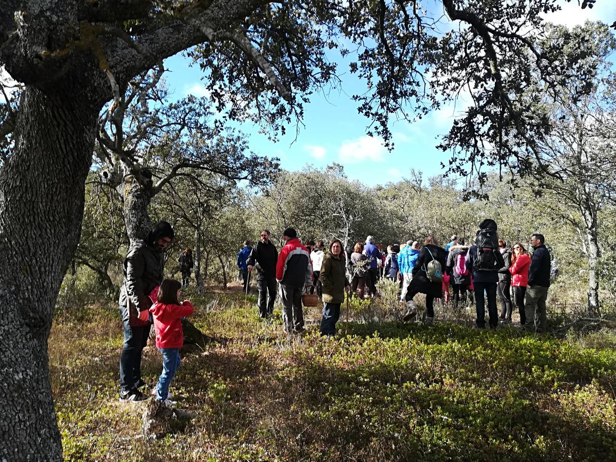 La localidad lleva 24 años celebrando una jornada dedicada a las setas