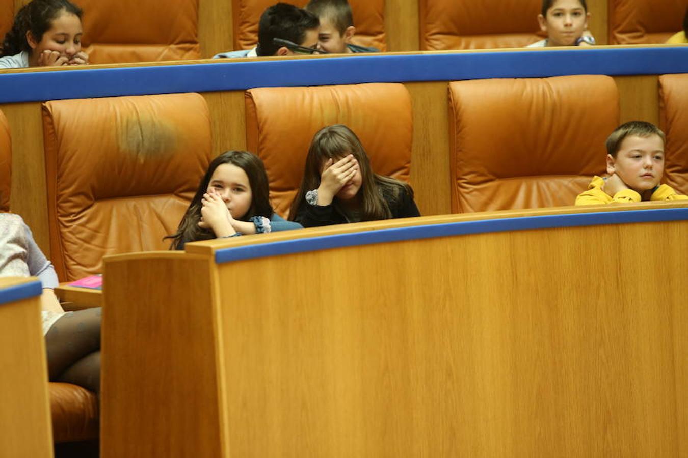 El Día Universal del Niño, organizado por Unicef, se ha celebrado en el Parlamento regional con la participación de un grupo de alumnos del colegio San Fernando de Nájera, quienes han leído los principios de la Convención de los Derechos del Niño