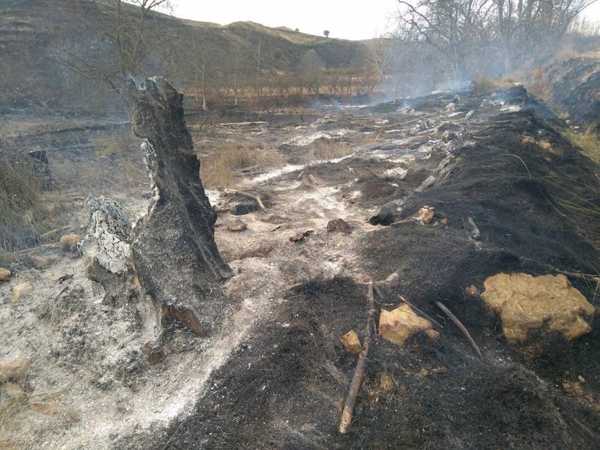 El incendio de Gutur ya ha sido extinguido. No ha sido una noche fácil para los servicios de lucha contra el fuego de La Rioja. El fuego ha afectado a una zona amplia de monte bajo. Se sospecha que el incendio ha sido provocado. La sequía se encarga del resto.