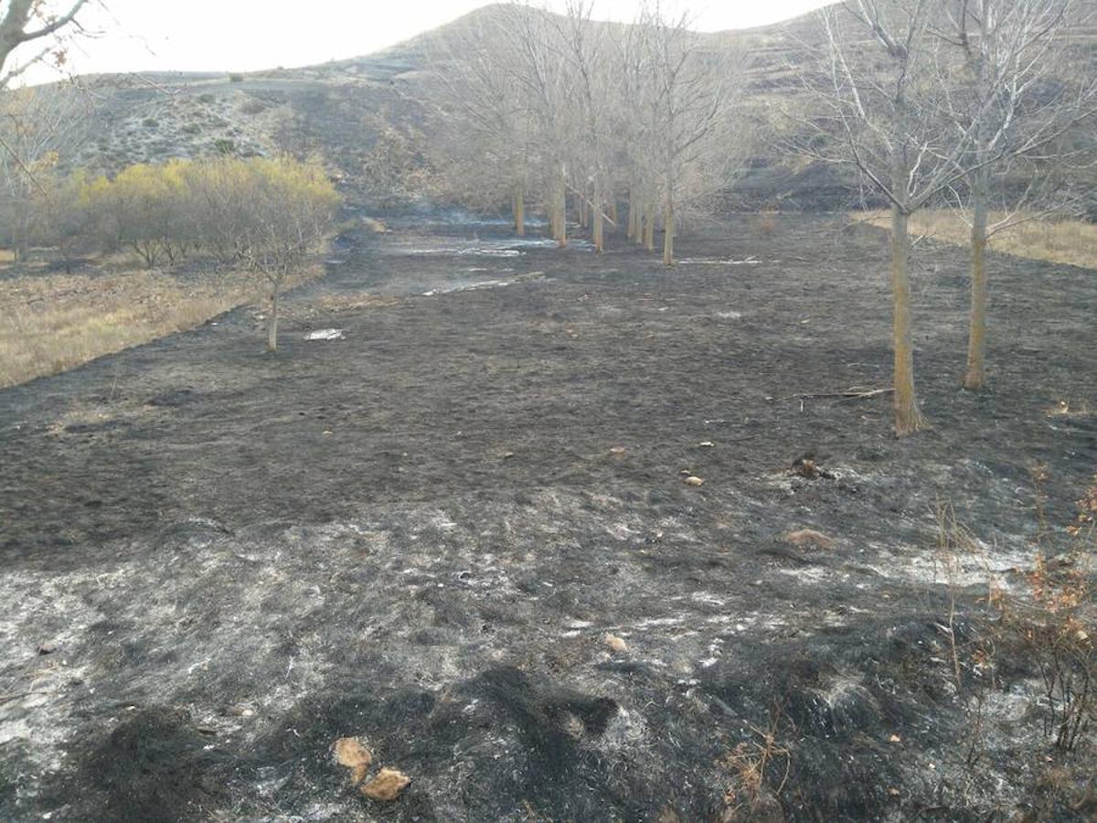 El incendio de Gutur ya ha sido extinguido. No ha sido una noche fácil para los servicios de lucha contra el fuego de La Rioja. El fuego ha afectado a una zona amplia de monte bajo. Se sospecha que el incendio ha sido provocado. La sequía se encarga del resto.