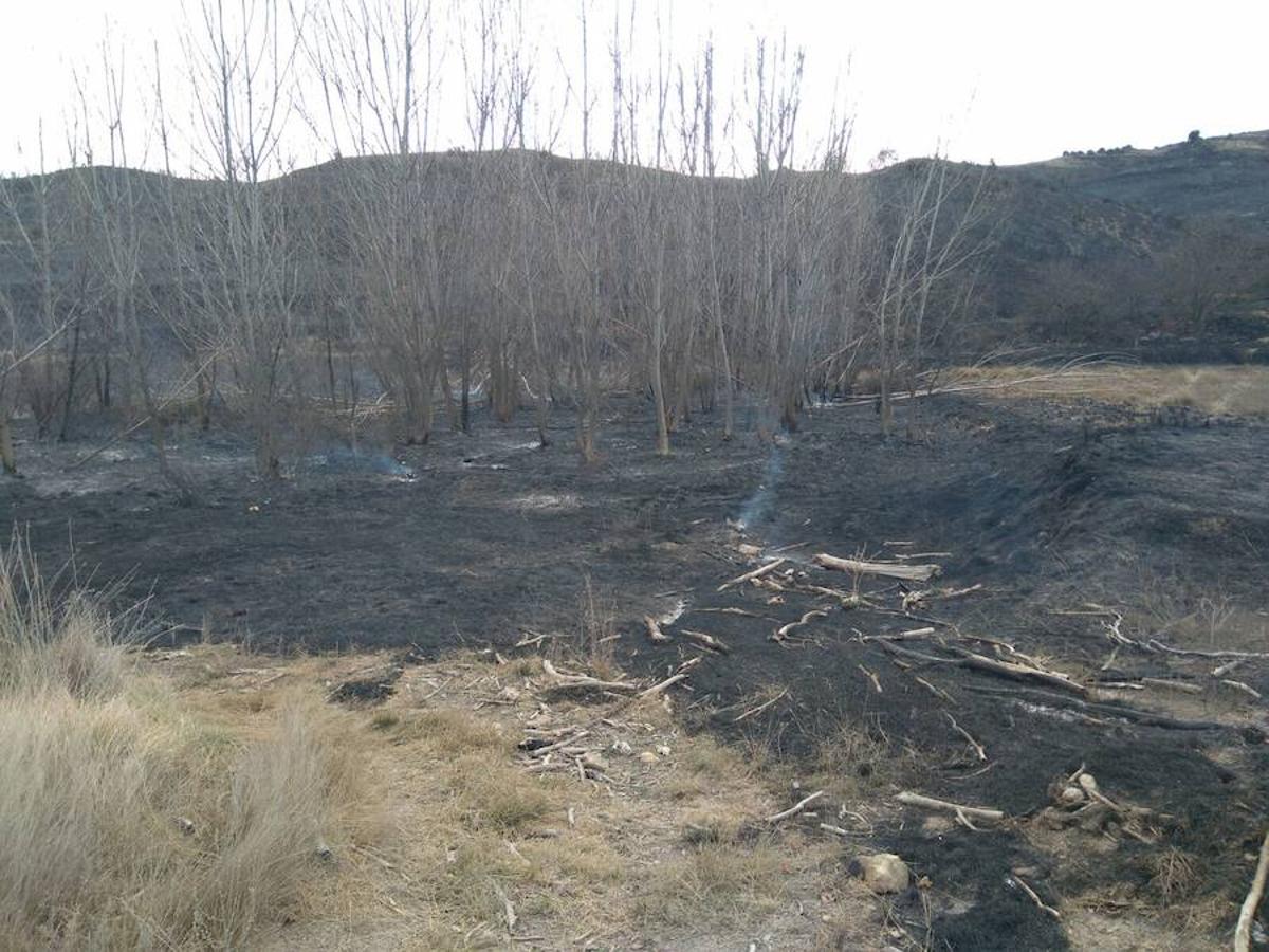 El incendio de Gutur ya ha sido extinguido. No ha sido una noche fácil para los servicios de lucha contra el fuego de La Rioja. El fuego ha afectado a una zona amplia de monte bajo. Se sospecha que el incendio ha sido provocado. La sequía se encarga del resto.