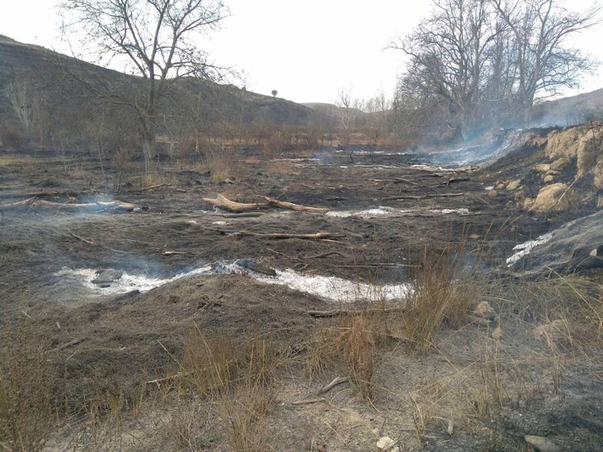 El incendio de Gutur ya ha sido extinguido. No ha sido una noche fácil para los servicios de lucha contra el fuego de La Rioja. El fuego ha afectado a una zona amplia de monte bajo. Se sospecha que el incendio ha sido provocado. La sequía se encarga del resto.