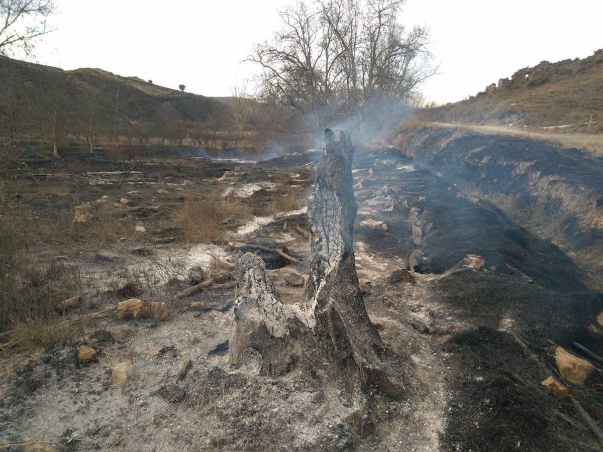 El incendio de Gutur ya ha sido extinguido. No ha sido una noche fácil para los servicios de lucha contra el fuego de La Rioja. El fuego ha afectado a una zona amplia de monte bajo. Se sospecha que el incendio ha sido provocado. La sequía se encarga del resto.