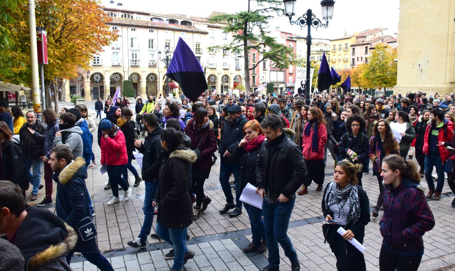 Actos reivindicativos y de protesta en el día contra la violencia de género en Logroño