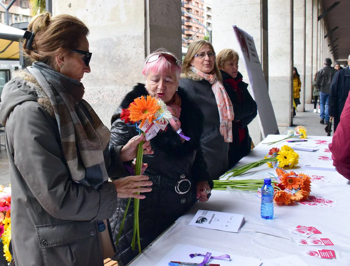 Actos reivindicativos y de protesta en el día contra la violencia de género en Logroño