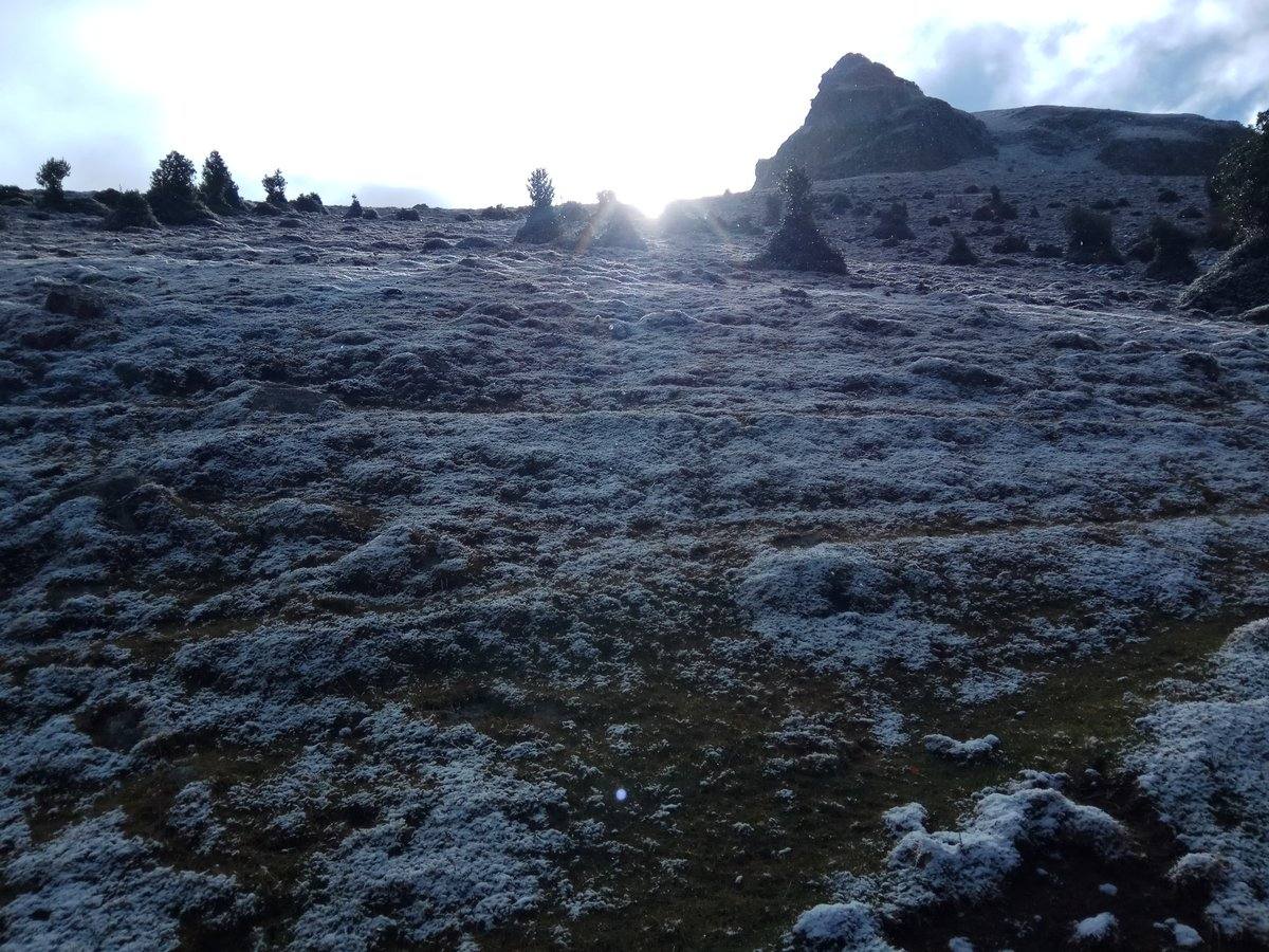 Espectacular cencellada en el límite entre Duruelo, Soria, y La Rioja. A 1950 metros en Urbión. Hasta -6.4 ha marcado el termómetro, con rachas de Norte de unos 50 km/h. 