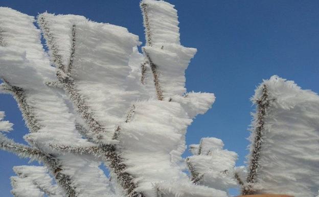 Llegan la nieve y el frío