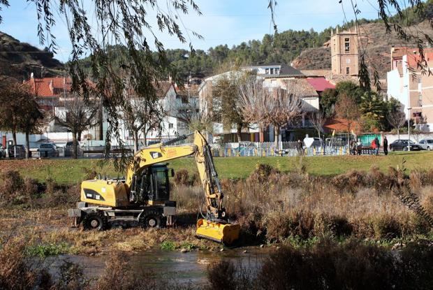 Una máquina procede a desbrozar una de las isletas del cauce. :: 