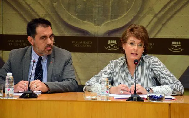 Myriam Torbado, ayer durante su intervención ante la comisión de investigación en presencia de su presidente. :: 