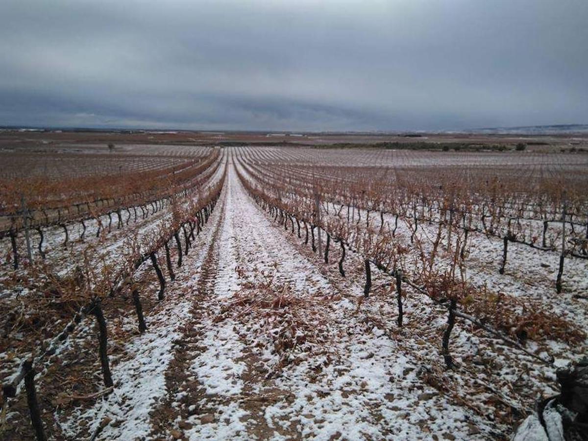 Aldeanueva de Ebro