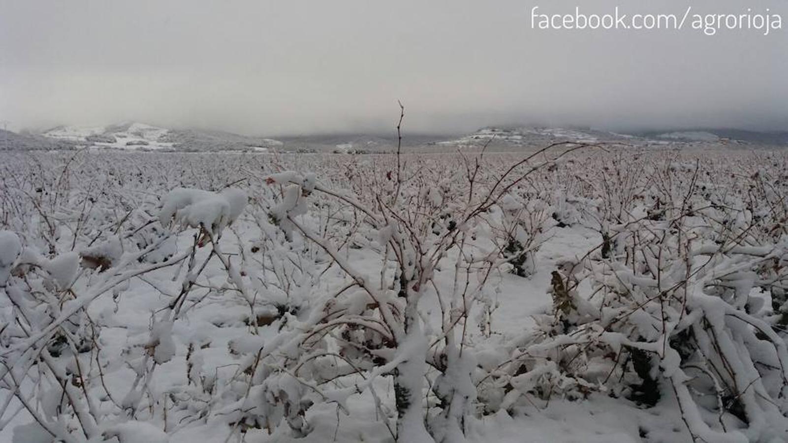 No te cortes. Seguro que se te presenta la oportunidad de mandarnos una estampa bien bonita de la nieve a lo largo de este sábado. No dudes compartirla con nosotros. Mándala al WhatsApp de larioja.com en el 620634342. Cuéntanos dónde la has hecho y tu nombre.