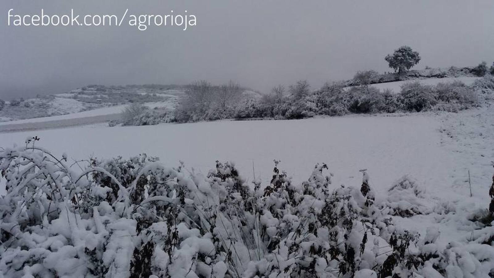 No te cortes. Seguro que se te presenta la oportunidad de mandarnos una estampa bien bonita de la nieve a lo largo de este sábado. No dudes compartirla con nosotros. Mándala al WhatsApp de larioja.com en el 620634342. Cuéntanos dónde la has hecho y tu nombre.