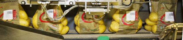 Las patatas pasan por una cinta en las instalaciones de Almacenes Rubio. :: miguel herreros