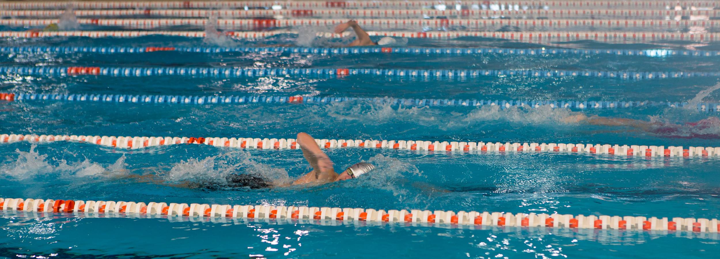 El Club de Natación (CN) Rivalia, de Calahorra, se ha proclamado ganador por clubes, en la categoría Master, del XXXIV Campeonato de La Rioja Absoluto de Invierno y VI Campeonato Máster de Natación, celebrado en el Complejo Adarraga