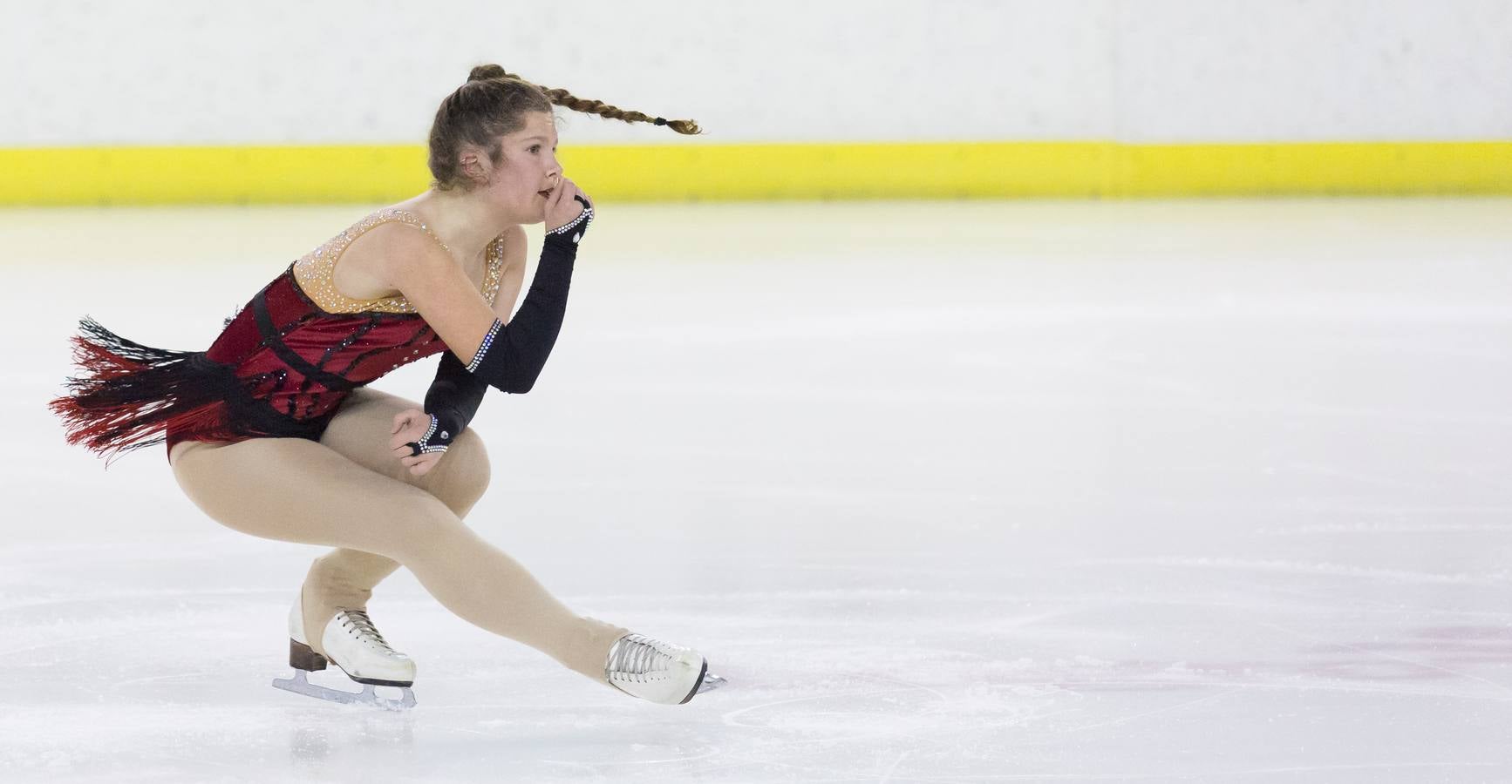 Gala de Navidad del Club de Hielo Artlog