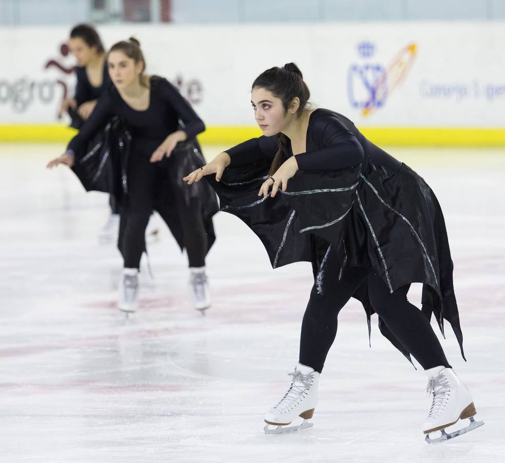 Gala de Navidad del Club de Hielo Artlog