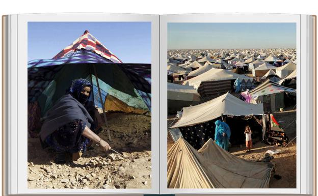 Una campaña reúne 8.500 libros en La Rioja para campamentos de refugiados