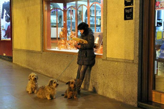 Una mujer consulta su teléfono móvil en la plaza de la Paz de Haro junto a sus tres perros. :: 