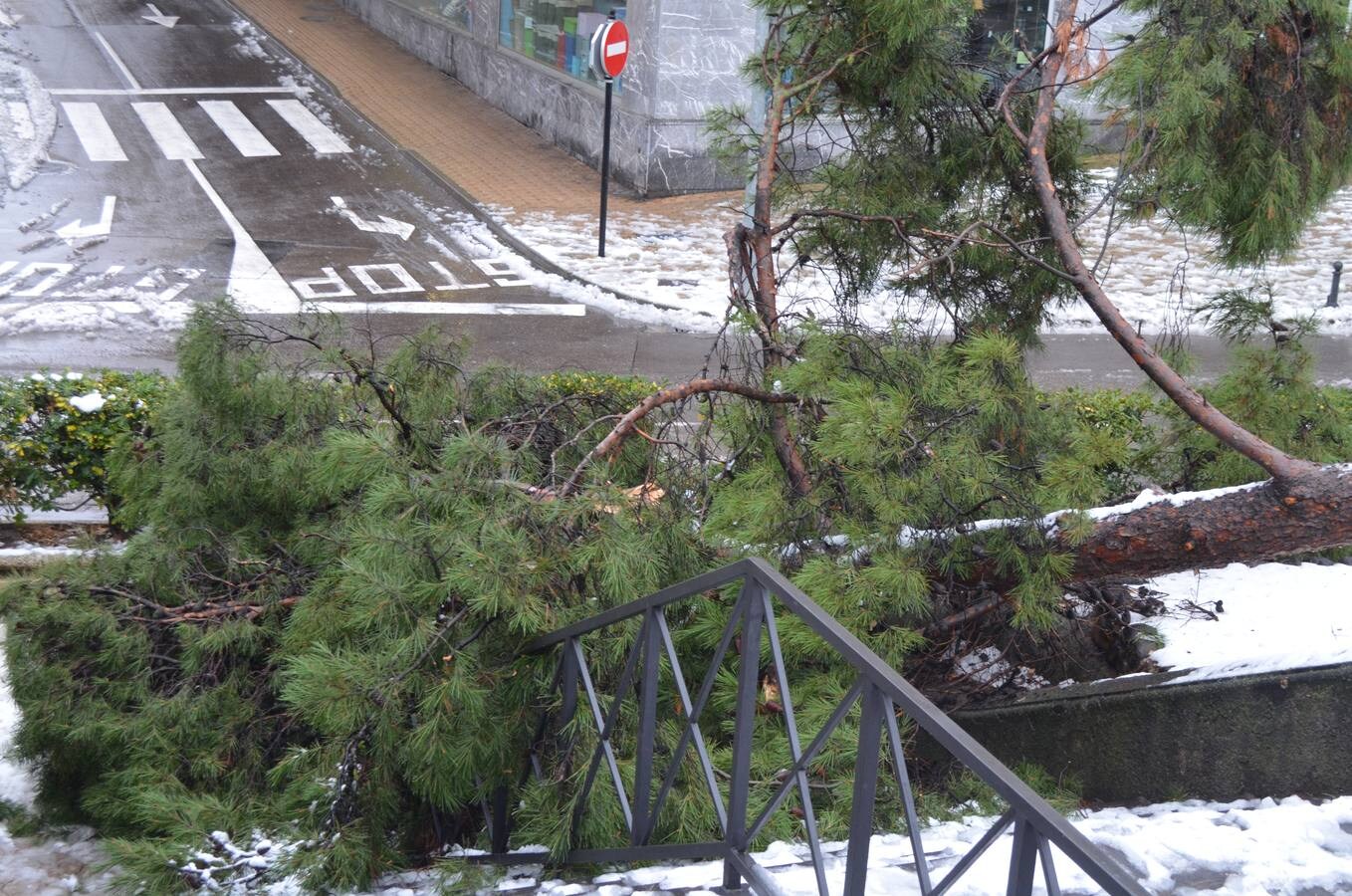 El municipio permanecía blanco este domingo tras la nevada del sábado