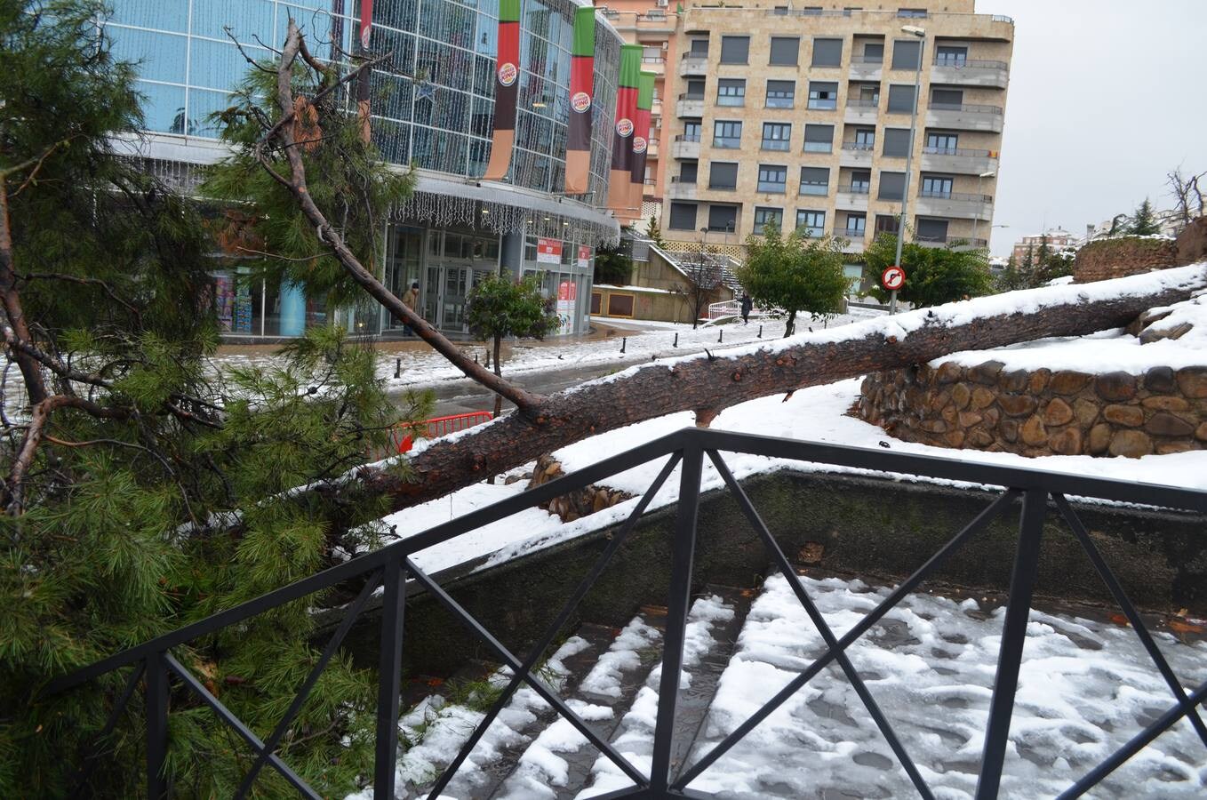 El municipio permanecía blanco este domingo tras la nevada del sábado