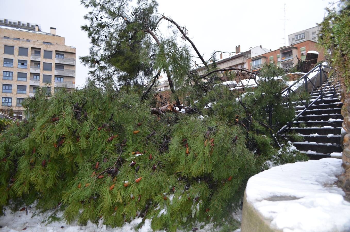 El municipio permanecía blanco este domingo tras la nevada del sábado