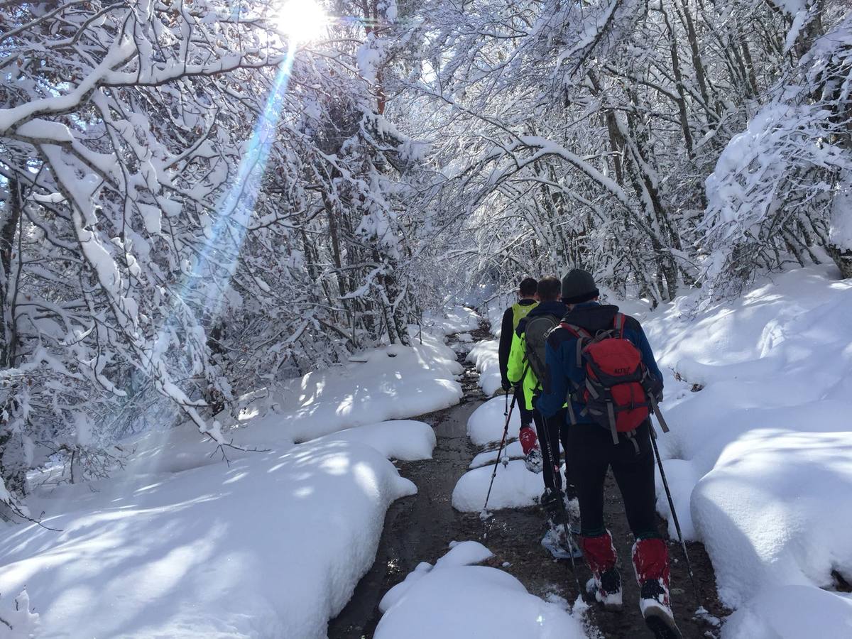 Un paseo con raquetas por la nieve de El Rasillo