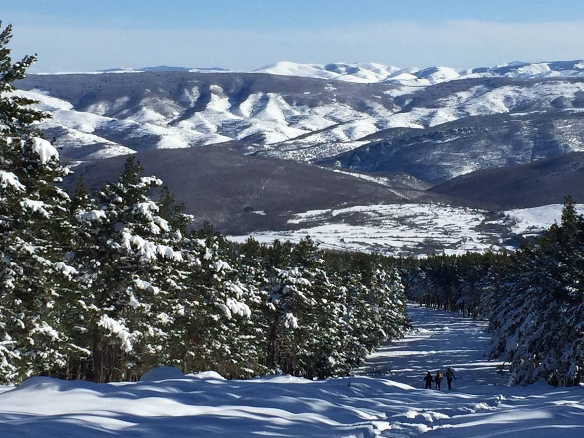 Un paseo con raquetas por la nieve de El Rasillo