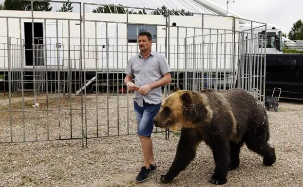 Logroño se declara «ciudad libre de circos con animales»