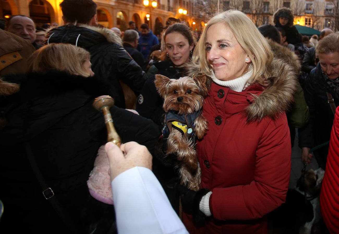 Numerosas personas acudieron con sus mascotas a la Plaza del Mercado para que fueran bendecidas frente a La Redonda